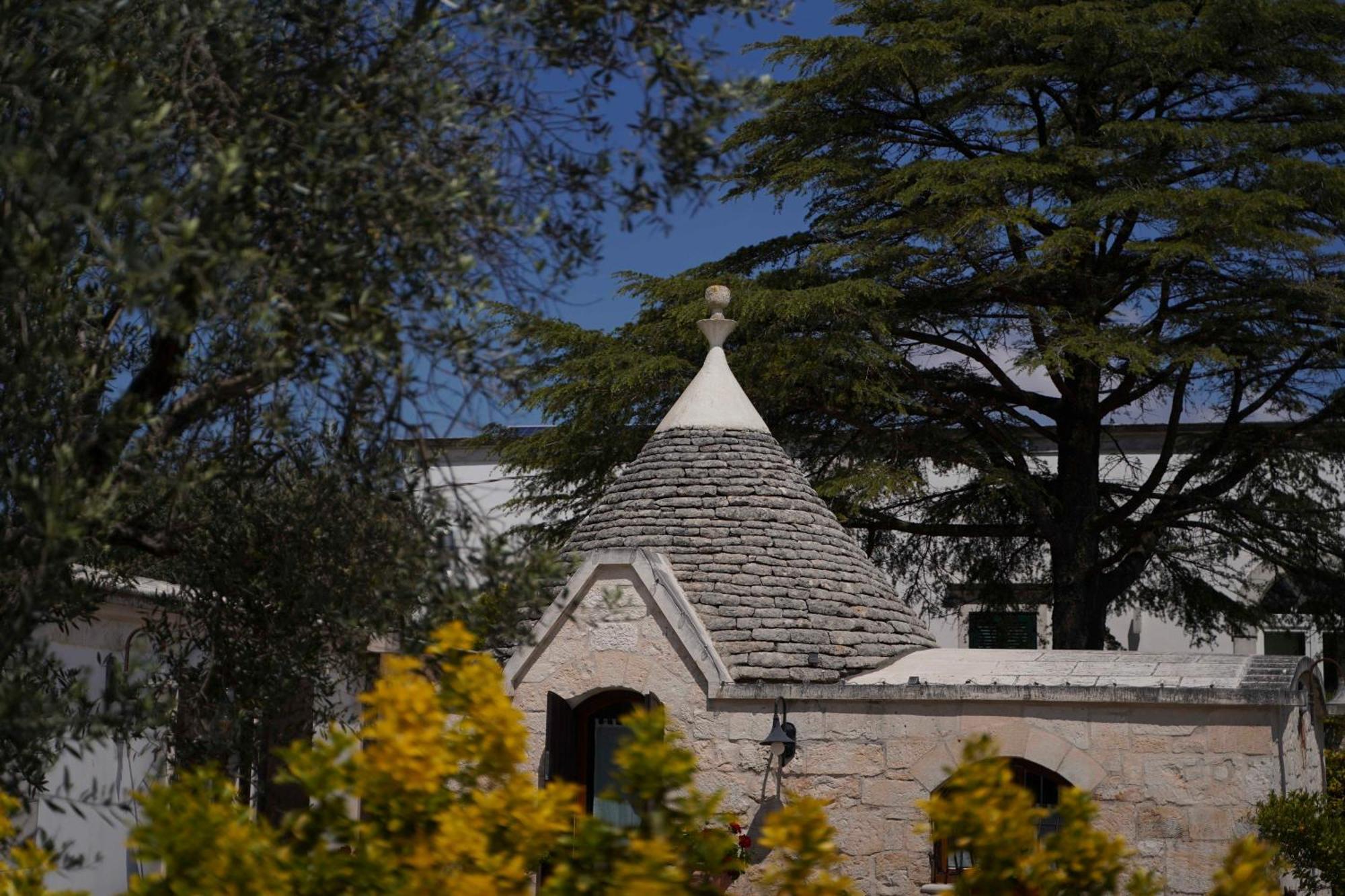 Trullo Leone Βίλα Μαρτίνα Φράνκα Εξωτερικό φωτογραφία